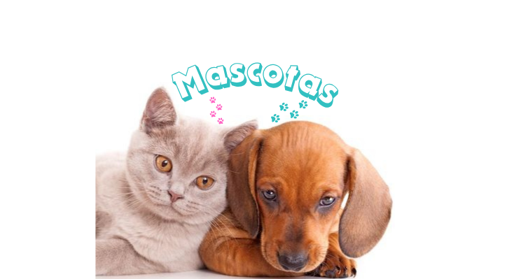 Mascotas