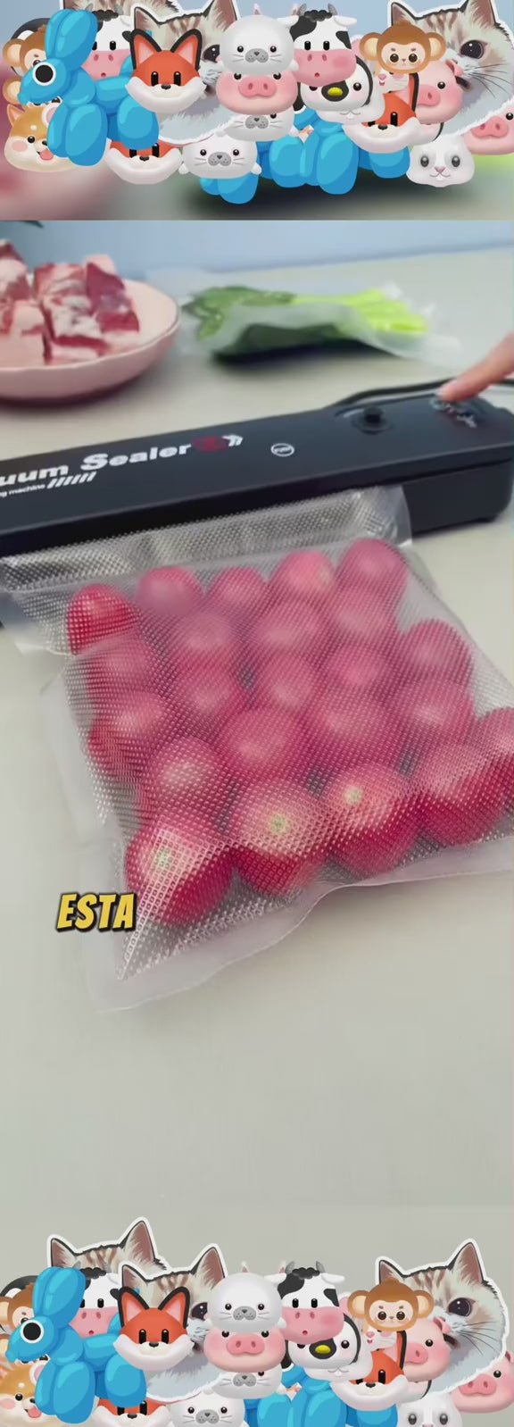 Envasadora al vacío