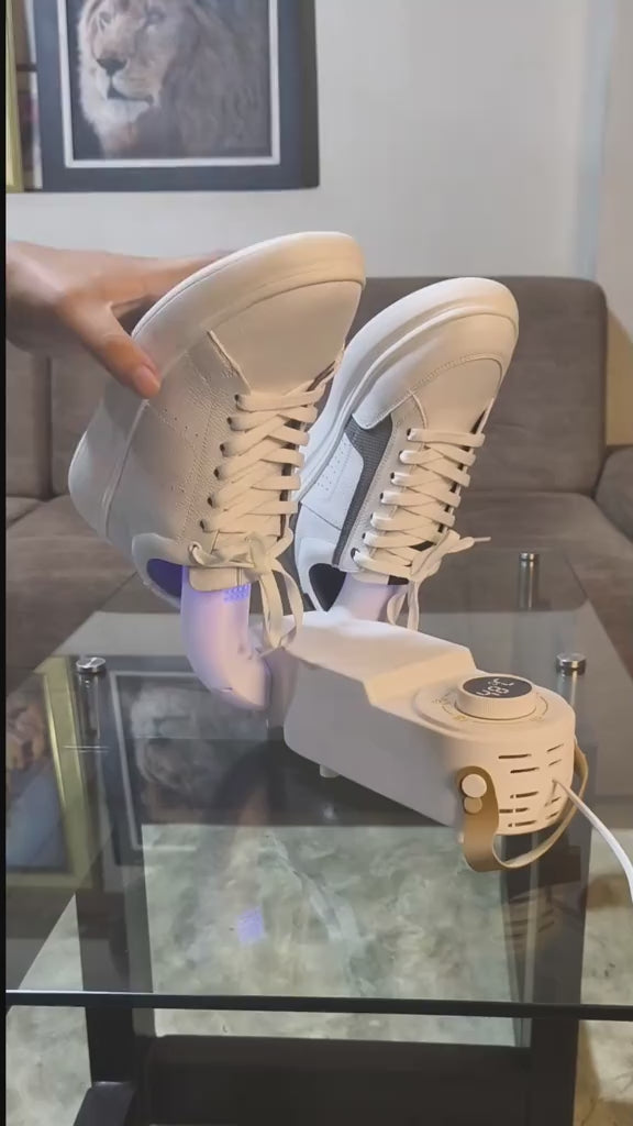 Secador de Zapatos